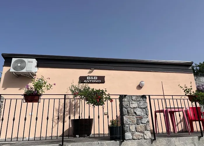 B&B Antonio
